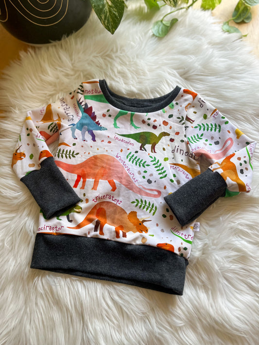 Grow With Me Pullover - Dinosaurs